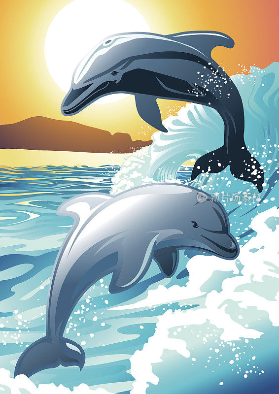 日出时，两只海豚在海滩上游泳