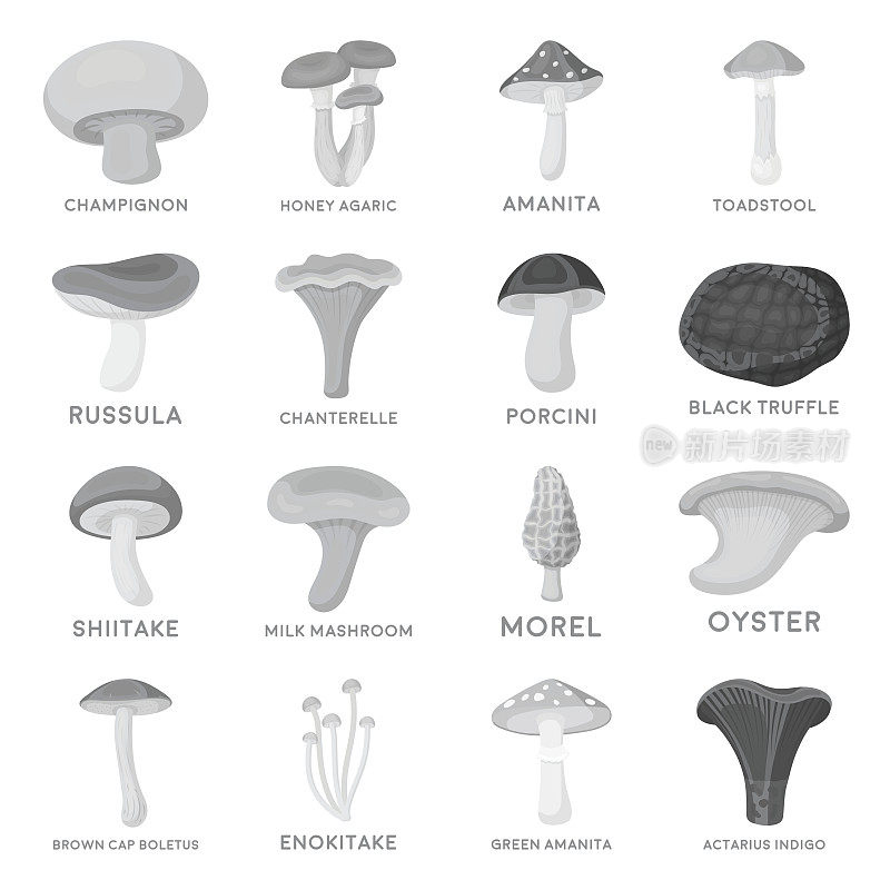 蘑菇设置图标在单色风格。大量收集蘑菇