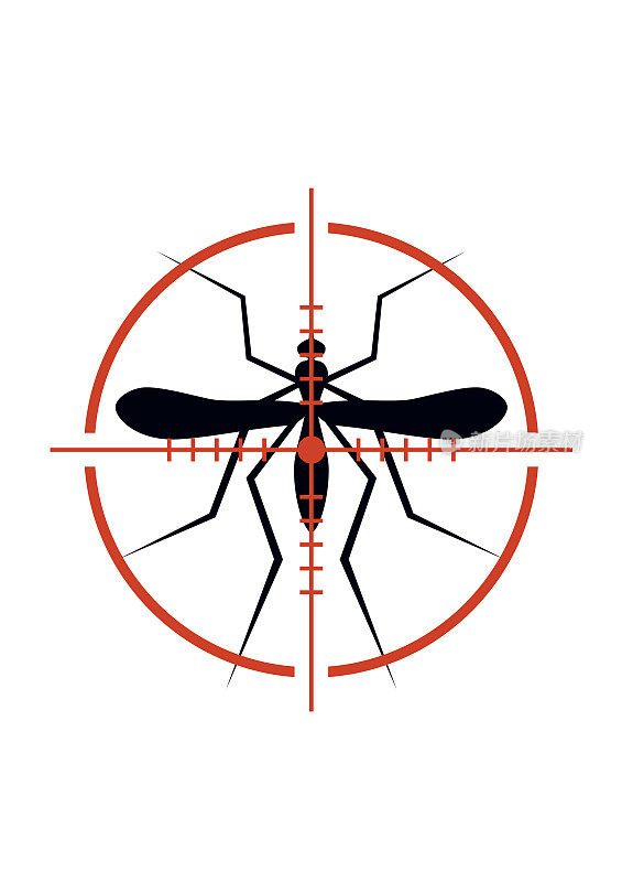 蚊子和十字。昆虫，淡色库蚊分离在白色背景上。