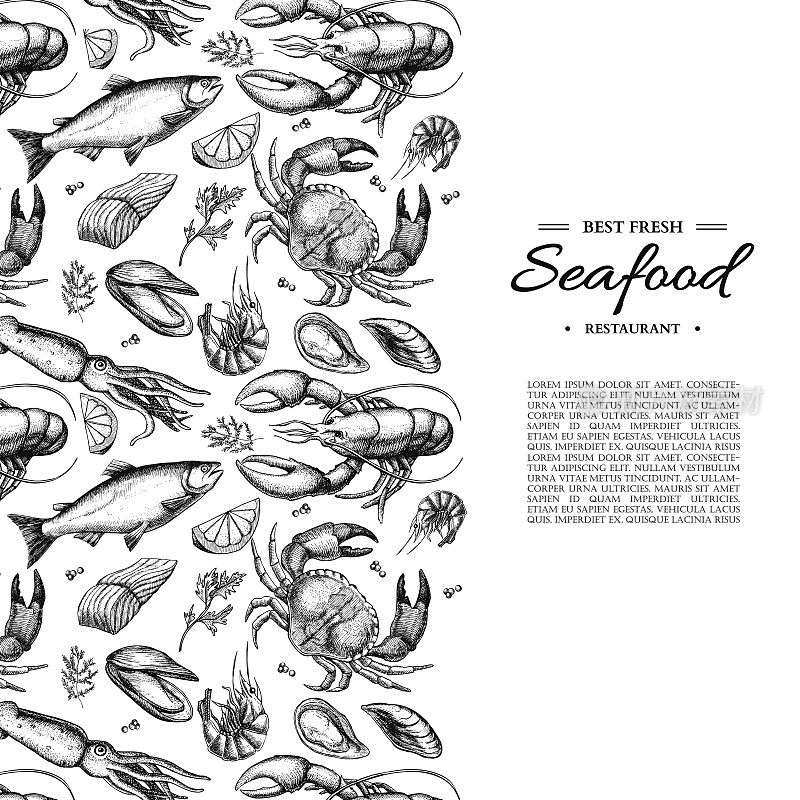 海产品手绘矢量图。蟹，龙虾，虾，牡蛎，贻贝，鱼子酱