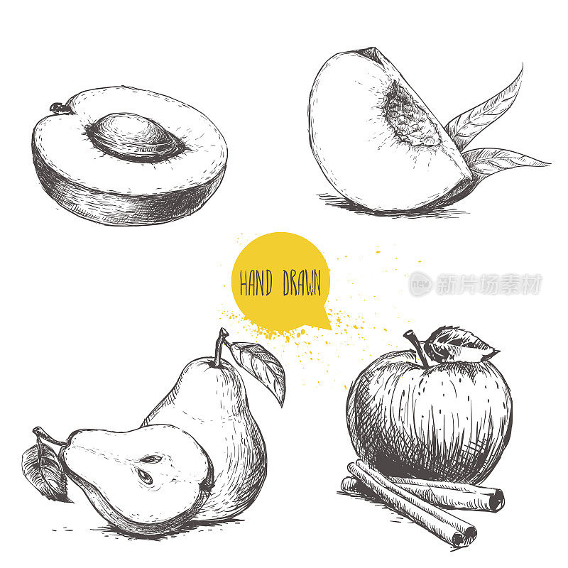 手绘素描风格水果套。杏，桃四分之一叶，梨和半梨，苹果和桂皮棒。矢量插图收集在白色的背景。