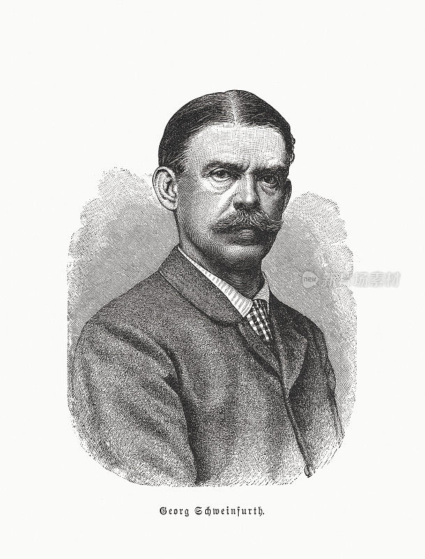 格奥尔格・施魏因弗斯(1836-1925)，波罗的海德国探险家和植物学家，木刻，1891年