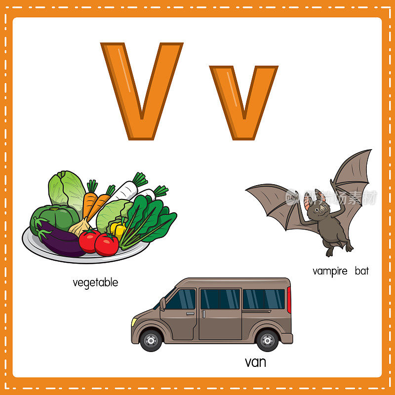 向量插图学习字母V的小写和大写的儿童与3卡通图像。蔬菜车吸血蝙蝠。