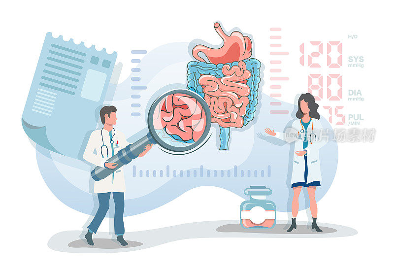 平面矢量图，两个医生观察消化系统