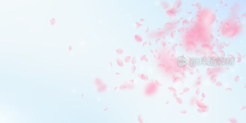 樱花花瓣飘落。浪漫的粉色花朵绽放。飞舞的花瓣在蓝色的天空广阔的背景。爱情,浪漫的概念。漂亮的婚礼邀请