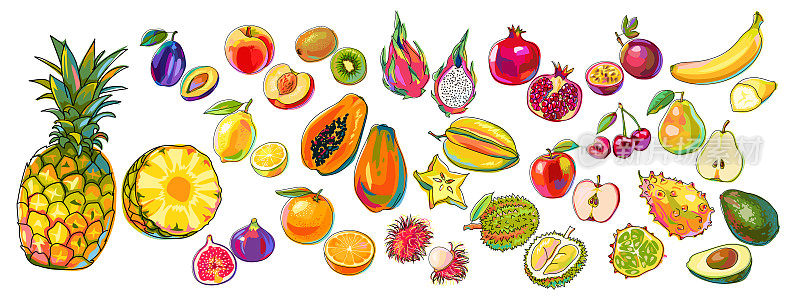 一套五颜六色的水果。菠萝、柠檬、橘子、无花果、桃子、芒果、梨、香蕉、李子、猕猴桃、红毛丹、kiwano、百香果、鳄梨、樱桃等。卡通风格孤立在白色。向量。