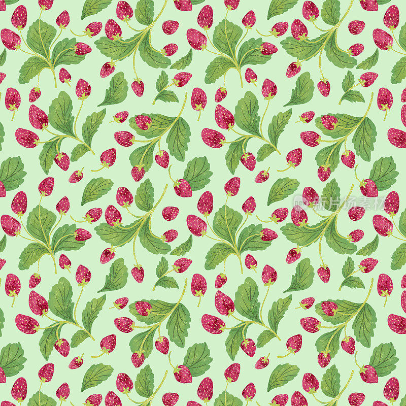 水彩草莓植物的无缝图案
