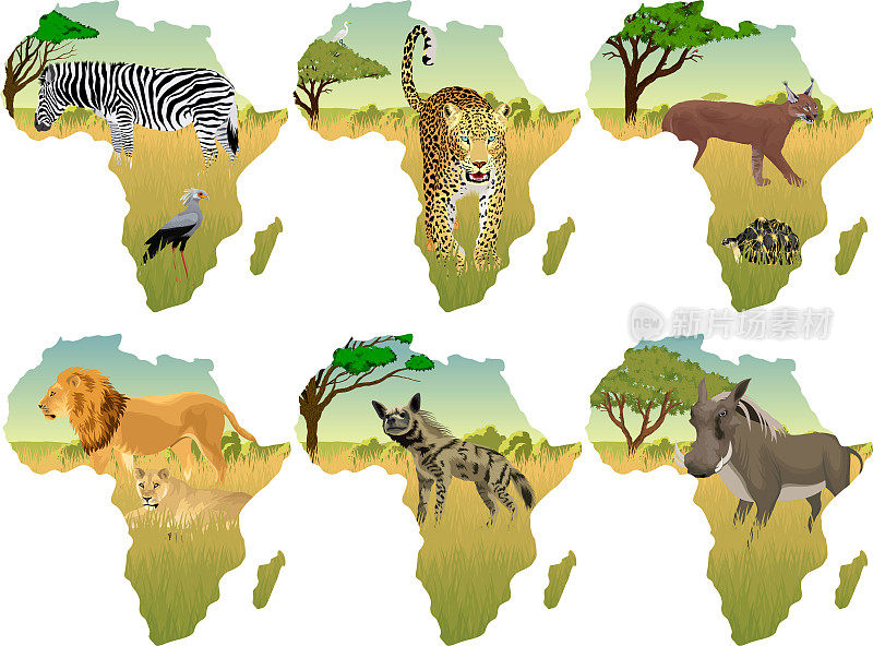 非洲大草原与不同的动物-载体插图
