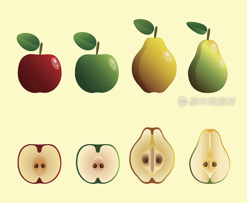 苹果、梨和榅桲矢量插图