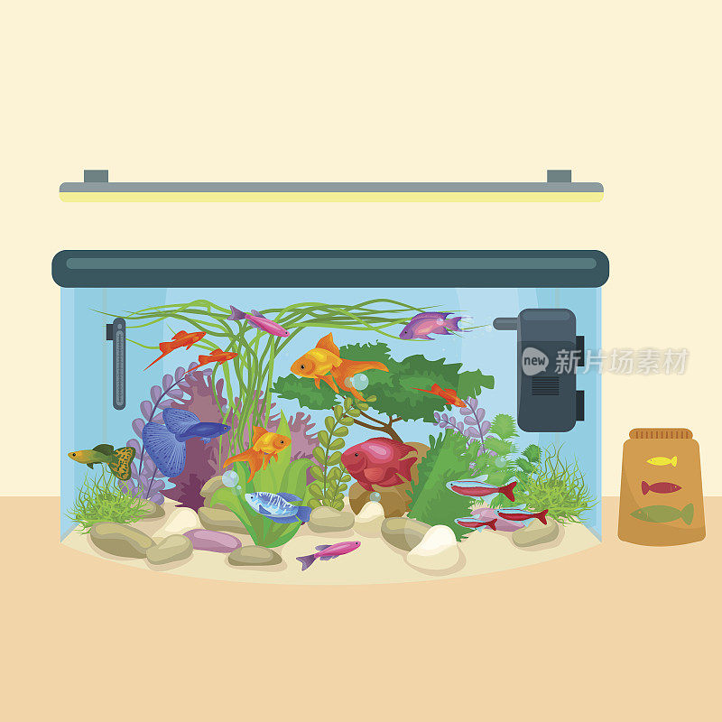 鱼缸、鱼缸有水、动物、海藻、珊瑚等设备