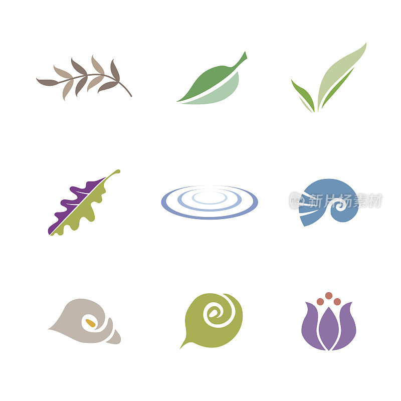 一组符号(叶子、贝壳、花和波纹)
