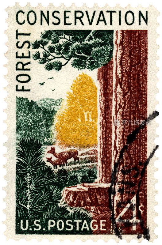 森林保护邮票