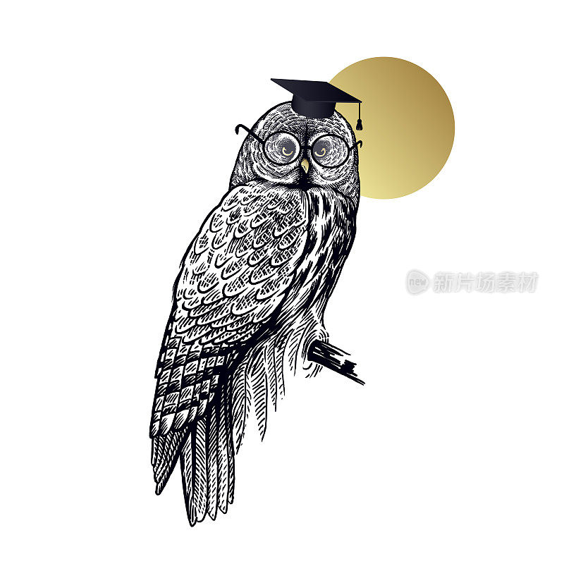 猫头鹰戴着方学士帽和眼镜，孤立在月亮的背景下。