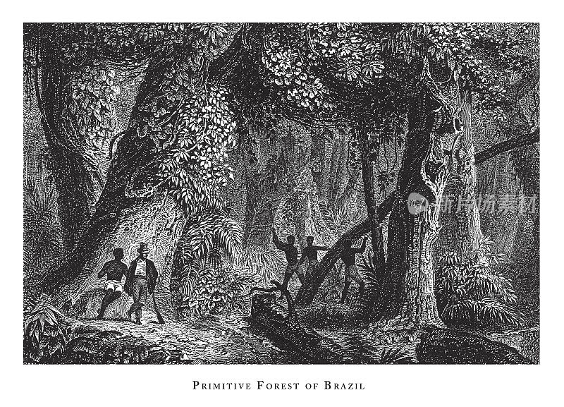 巴西原始森林，森林，湖泊，洞穴和奇特的岩层雕刻古董插图，出版于1851年