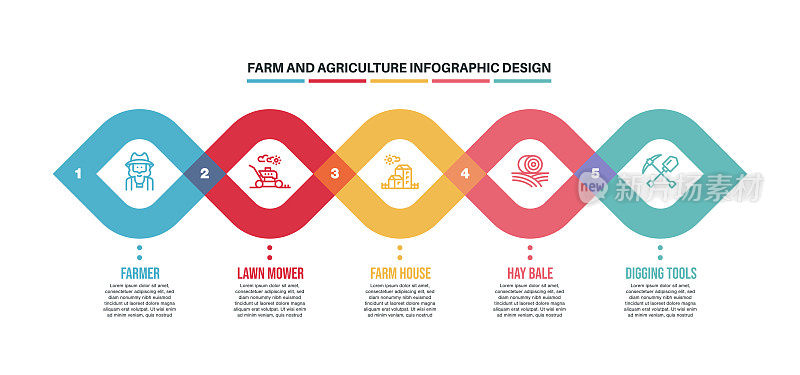 与农场和农业关键字和图标的信息图表设计模板
