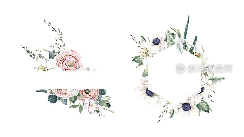 水彩手绘框架与银莲花，水仙花和毛茛。
