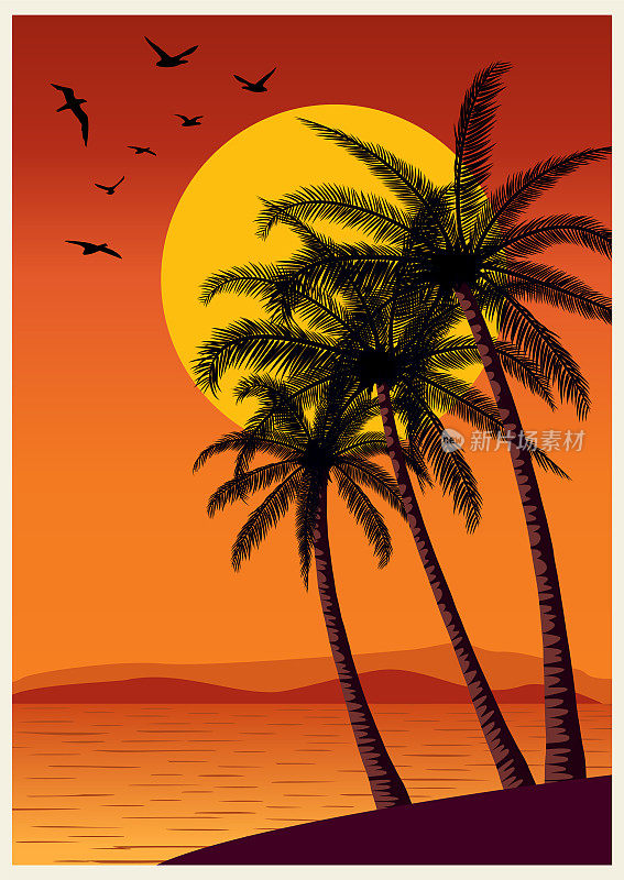 夏季热带日落与棕榈树
