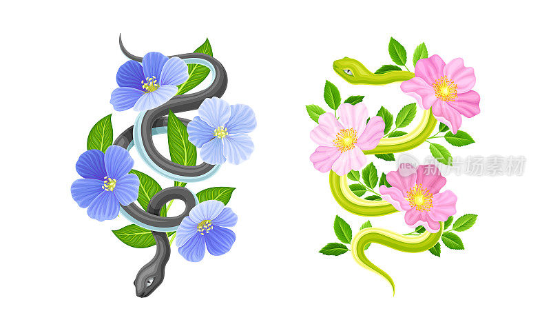 优雅的蛇盘绕美丽盛开的花朵矢量集