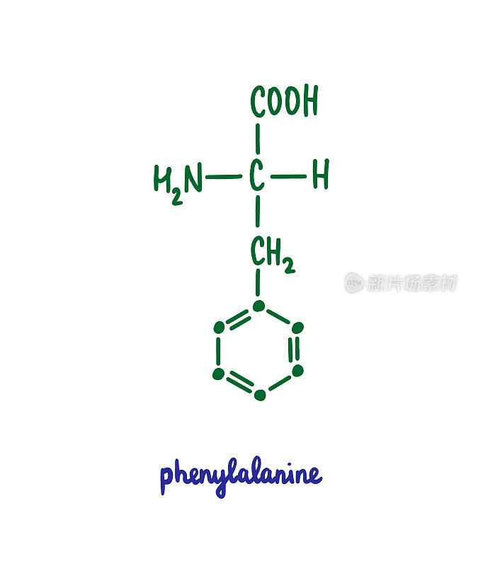 苯丙氨酸手绘向量式化学结构字母为蓝绿色