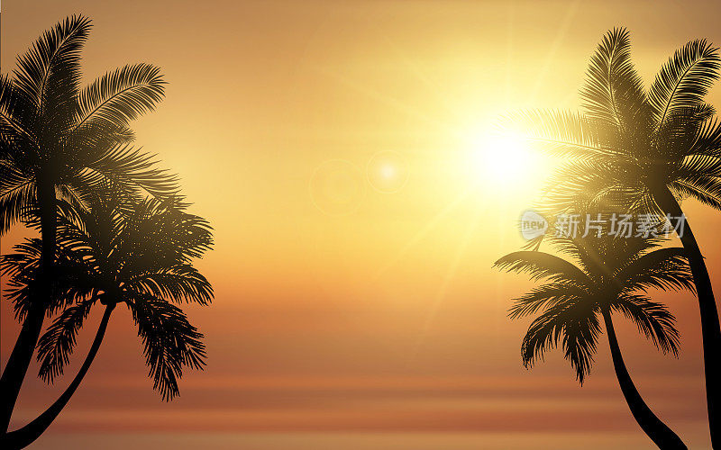 热带海滩日落矢量插图。夕阳映照下的棕榈树剪影