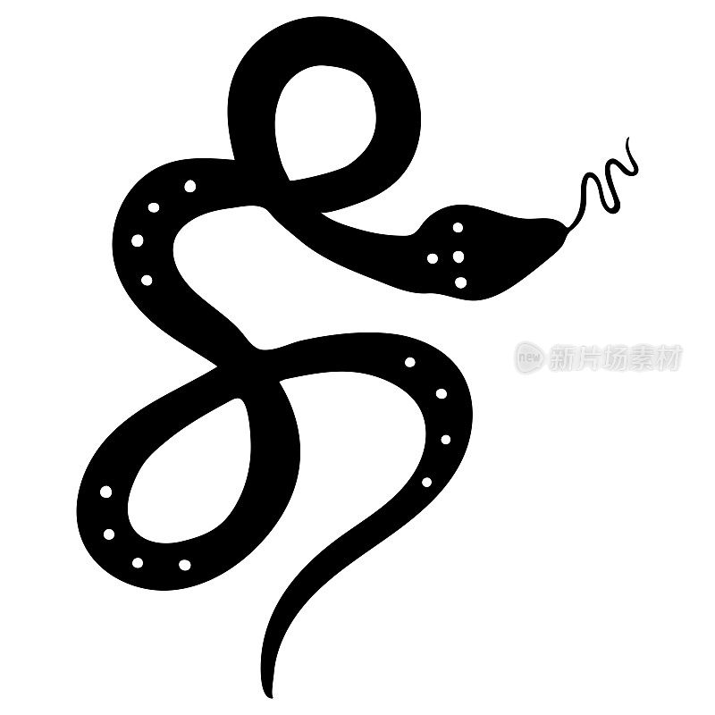 蛇的黑色剪影。矢量插图孤立在白色背景上。