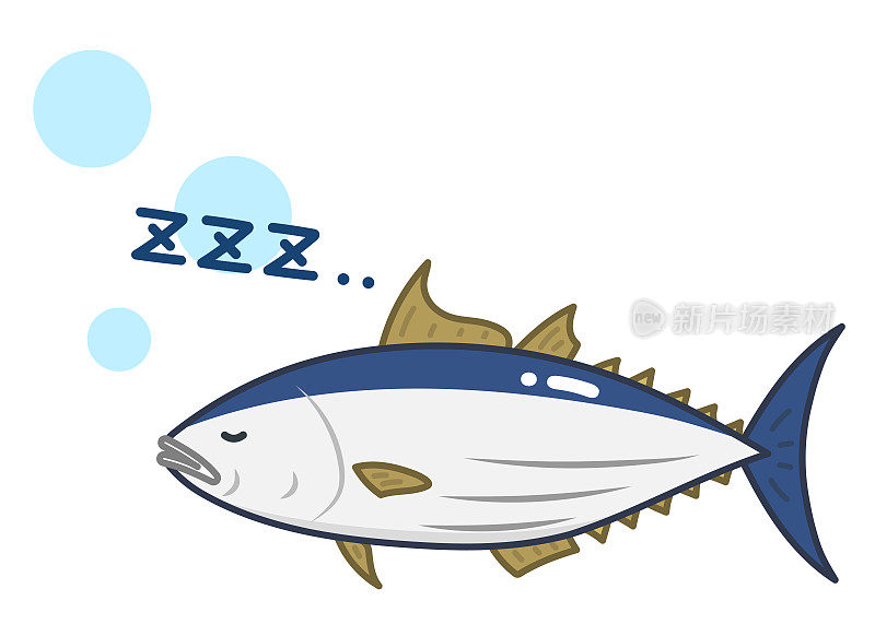睡眠鲣鱼金枪鱼隔离矢量插图。