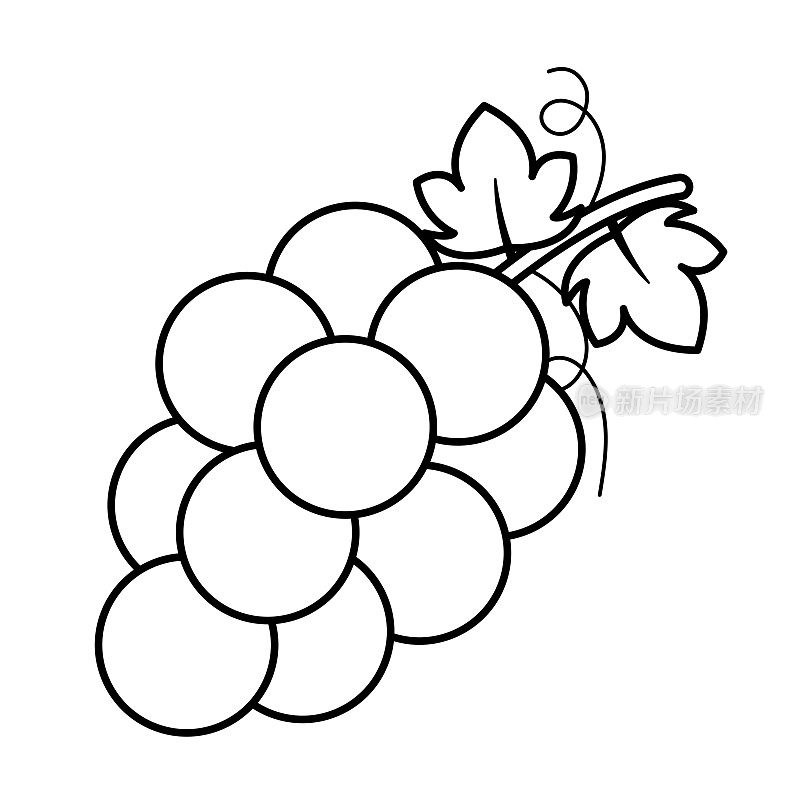 葡萄线条绘图图标水果矢量插图