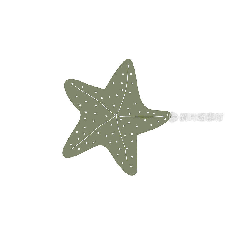 海星。大西洋之星。海洋动物矢量插图在白色背景。