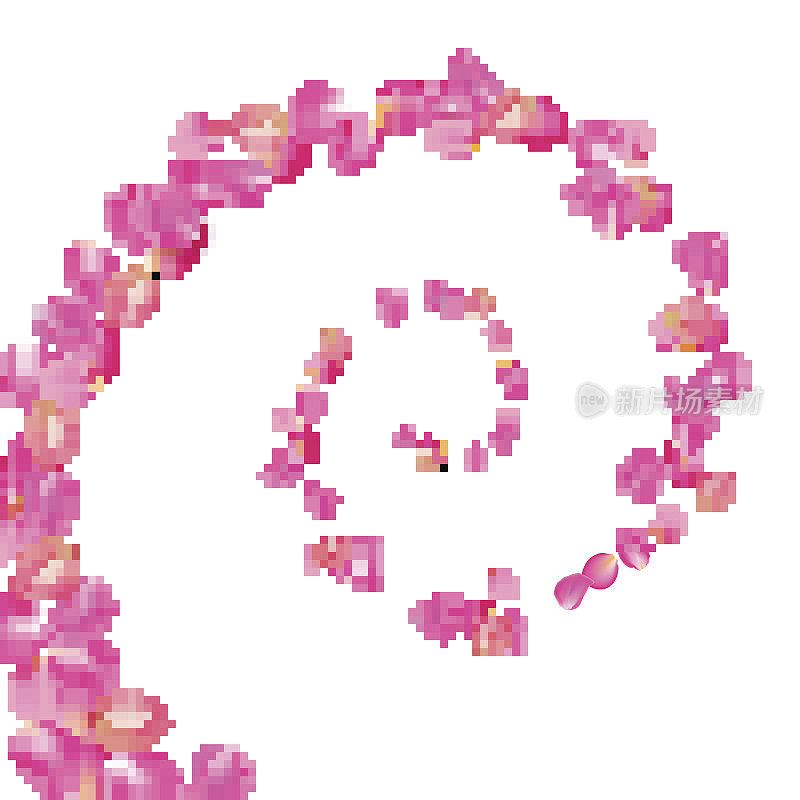 盘旋飞舞的樱花花瓣。现实向量粉红色花瓣在白色的背景