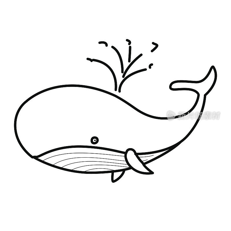 鲸鱼，用鲸鱼手绘草图。