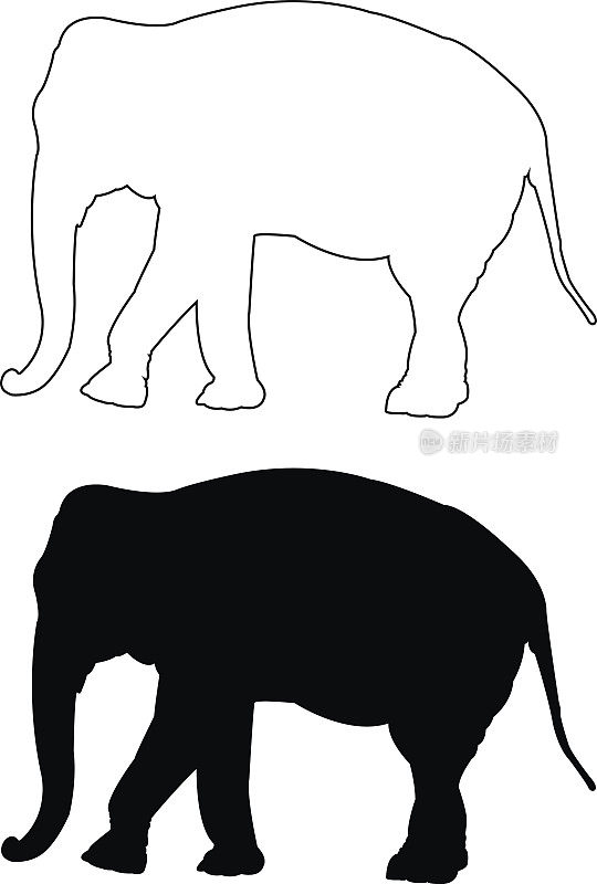 大象的轮廓