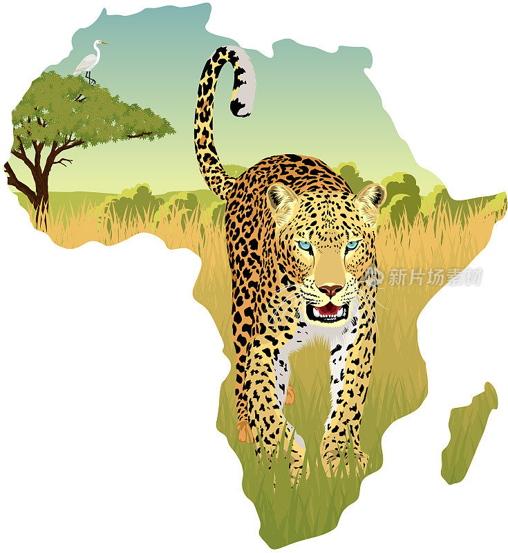 非洲大草原苍鹭和豹矢量插图