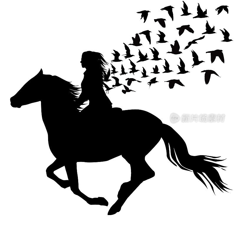 抽象插图的女人骑着马和鸟的剪影