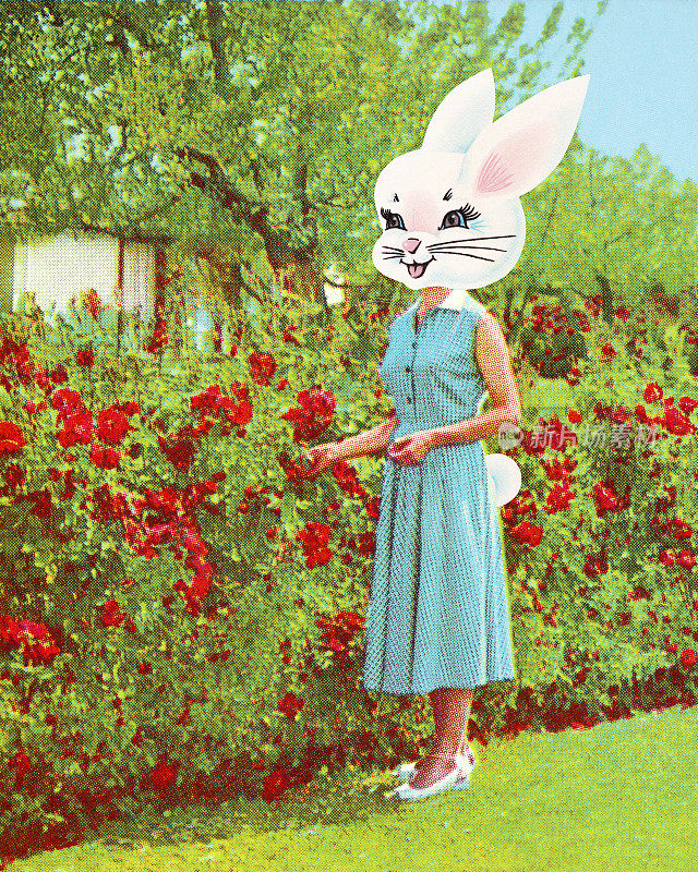 玫瑰丛旁有兔头的女人