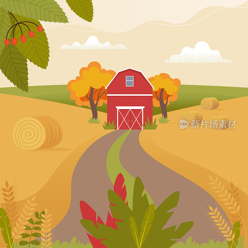 秋天的乡村风景与农家和麦穗。乡村景观。平面风格的矢量插图