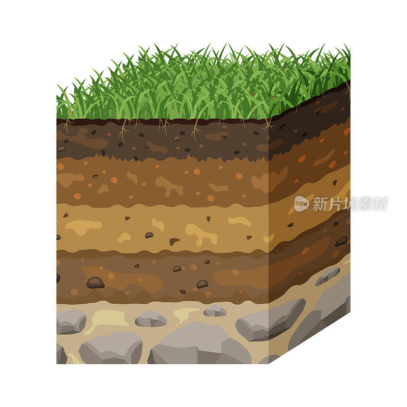 土壤在剖面上分层。地球表面的结构。地下概要