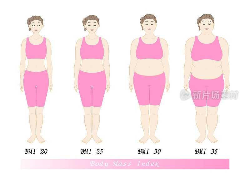 根据BMI指数，年轻女性的体型变化。插图。向量。