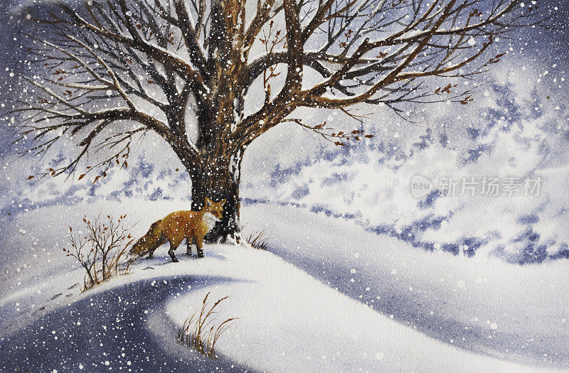 一幅美丽的画，一只红狐站在雪地里的一棵树旁