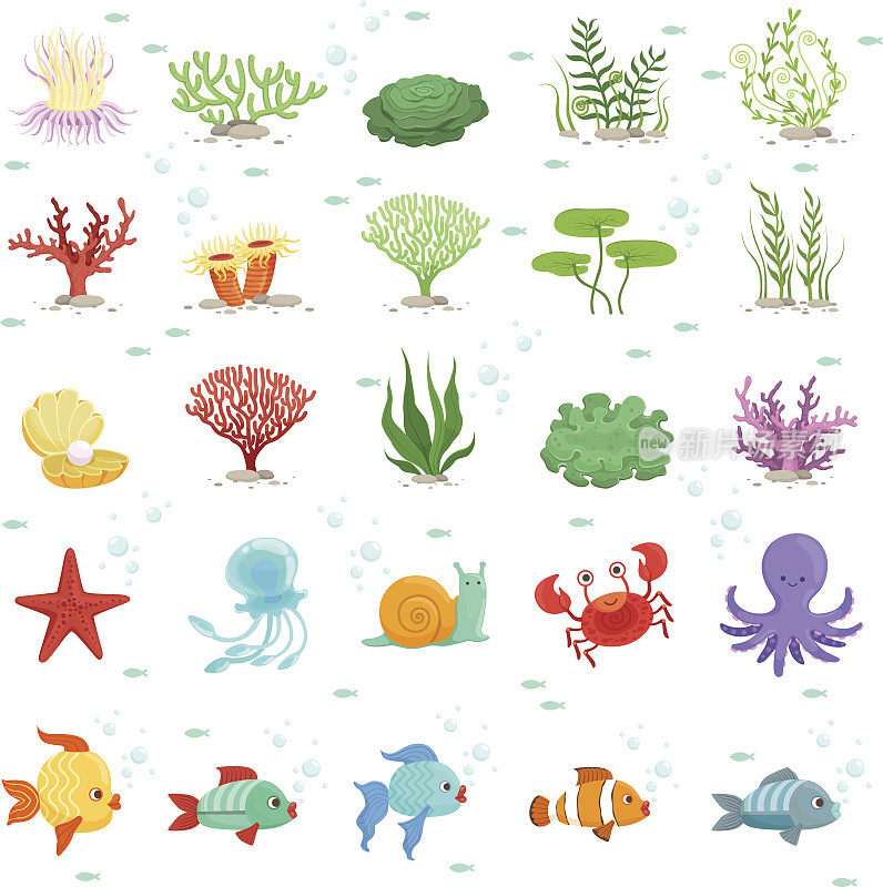 海洋动物、鱼类采集和水下植物。Aqua野生动物。矢量图