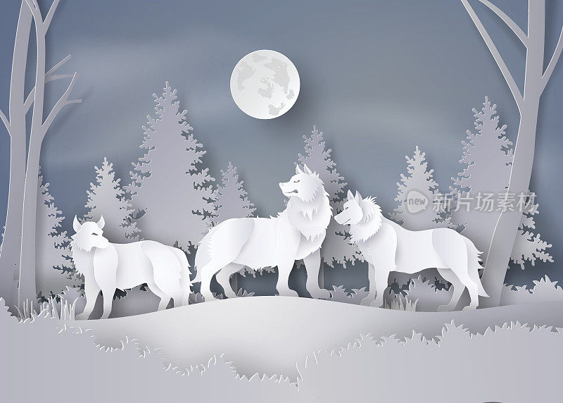 狼在白雪和满月的森林里
