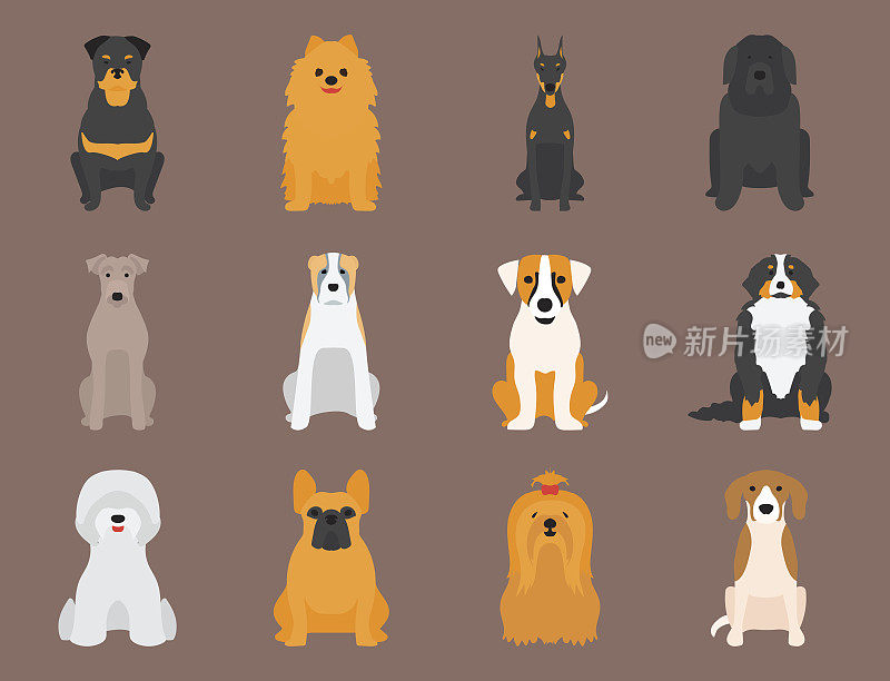 有趣的卡通狗角色面包卡通小狗友好可爱的狗矢量插图