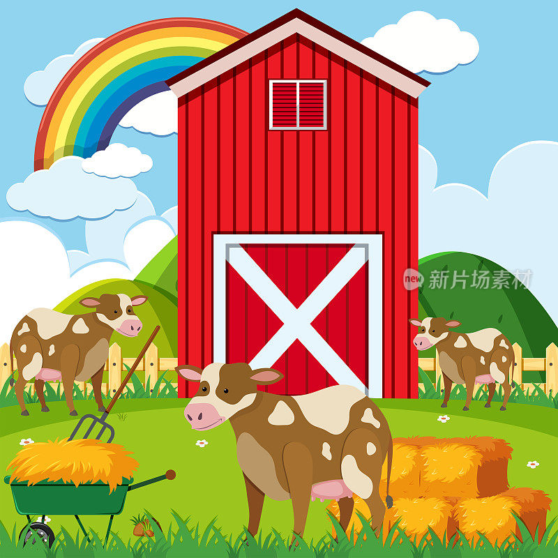三头奶牛和农场院子里的红色谷仓