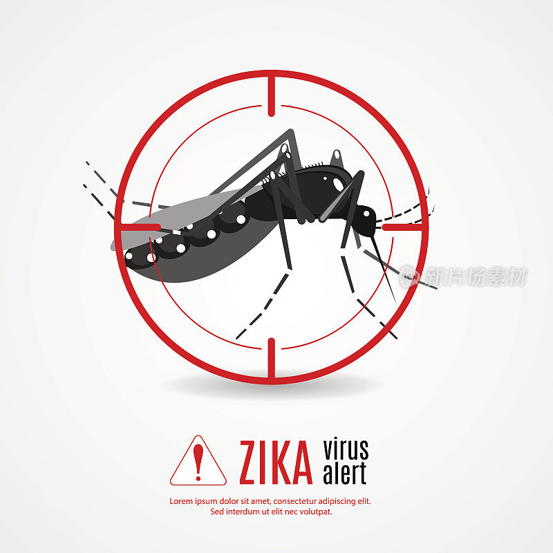 大自然中，埃及伊蚊以高跷为目标。视觉信号。