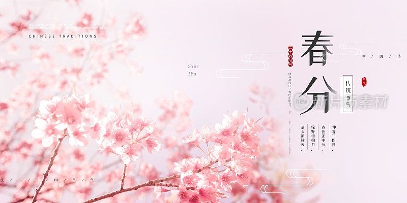 粉色小清新春分二十四节气展板