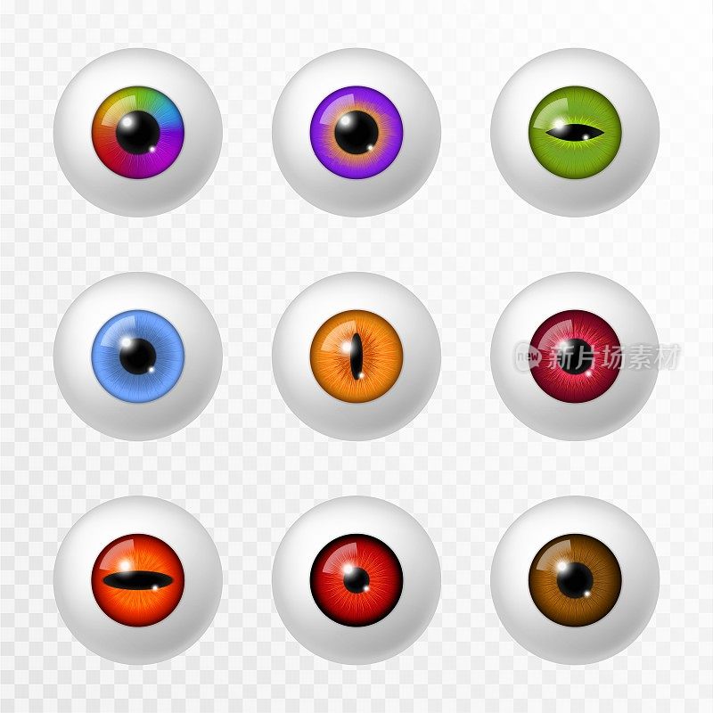 人类和动物的眼睛。不同颜色的眼球和晶状体，各种圆形的虹膜和视网膜和瞳孔。光学镜头，眼科三维矢量集