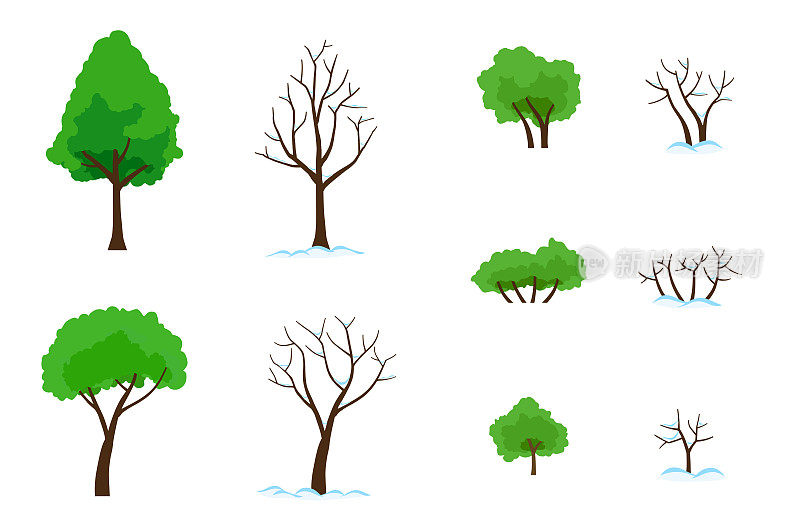 绿叶树和无叶的冬天树与雪集