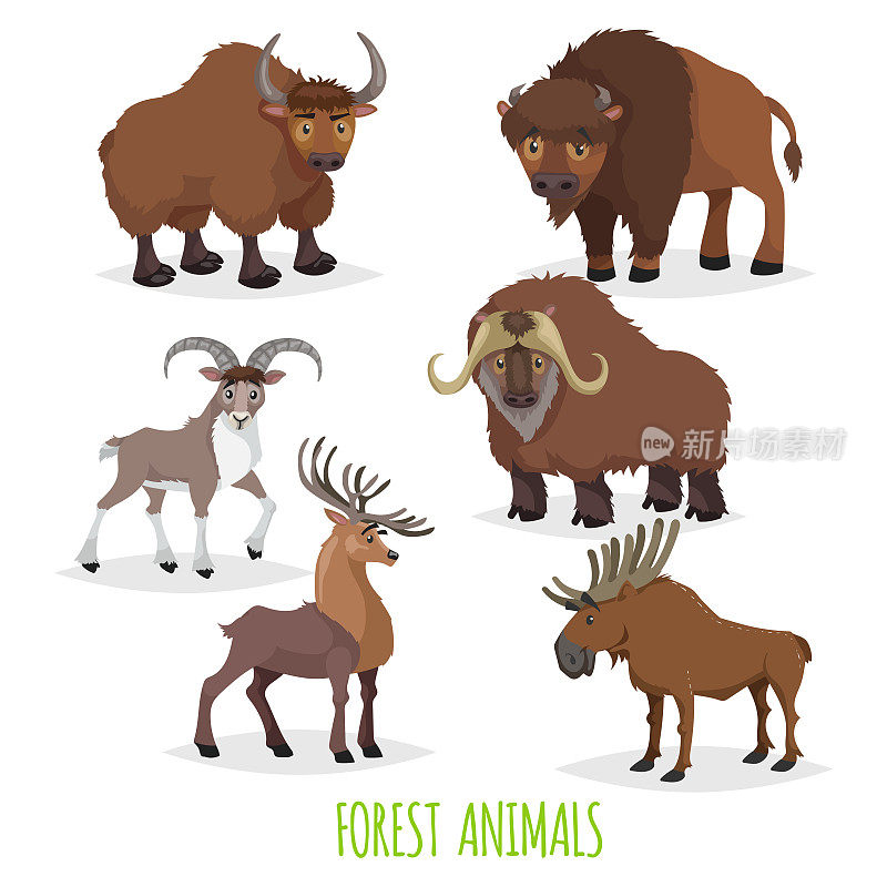 林地和森林有蹄和角的动物的集合。欧洲和北美的动物群收集。牦牛、野牛、乌拉尔(山公羊)、麝牛、鹿、驼鹿。