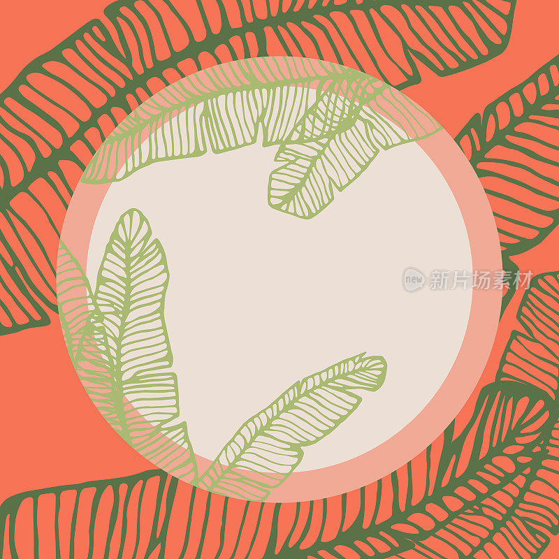 热带植物圆框，仿香蕉叶轮廓
