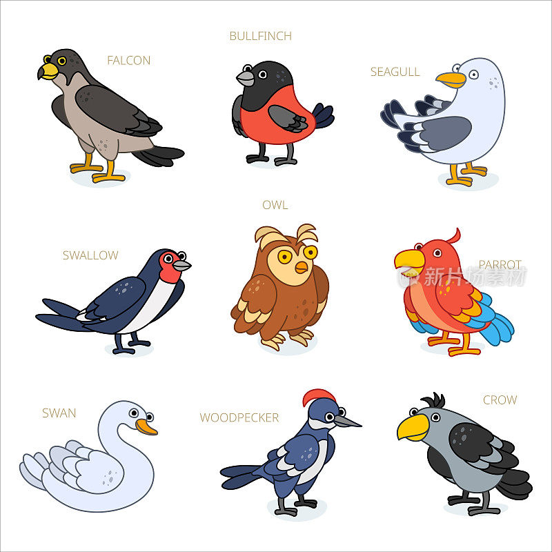小鸟角色设计集合。卡通动物。乌鸦，鹦鹉，红腹灰雀，猎鹰，啄木鸟，猫头鹰，天鹅，海鸥，燕子。