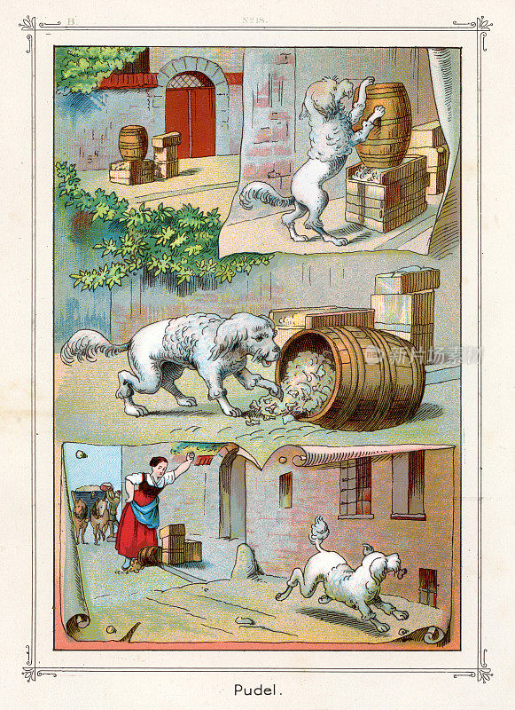 19世纪维多利亚时代，一只淘气的狗从垃圾桶里偷食物